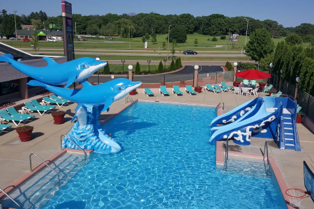 Grand Marquis Outdoor Pool Dolphin Slide